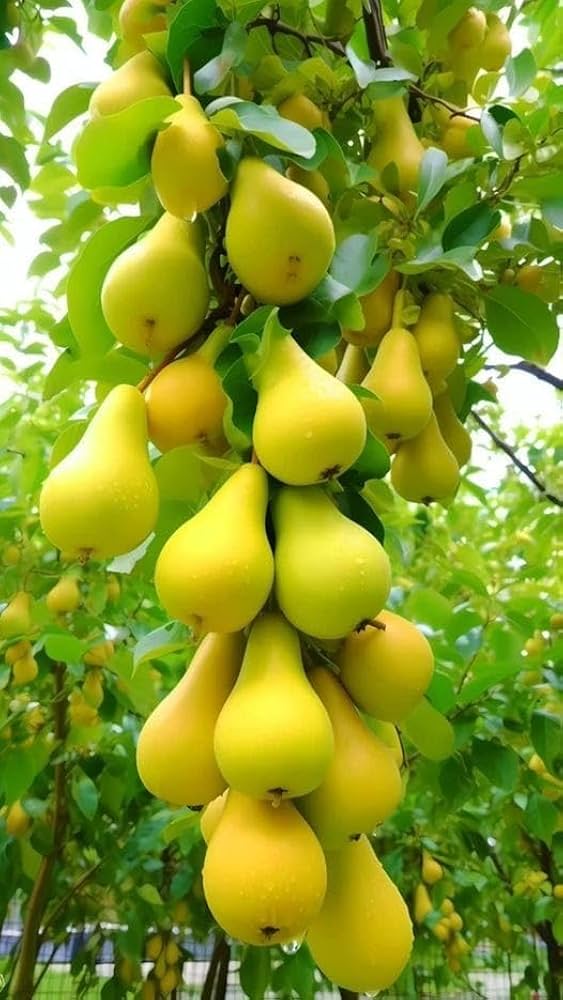 61LQz64EUQL._AC_UF1000,1000_QL80_